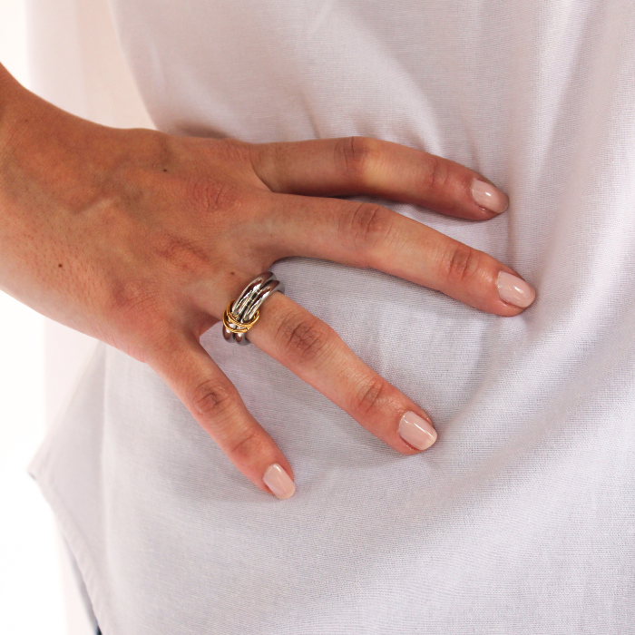 Anillo Número 2
