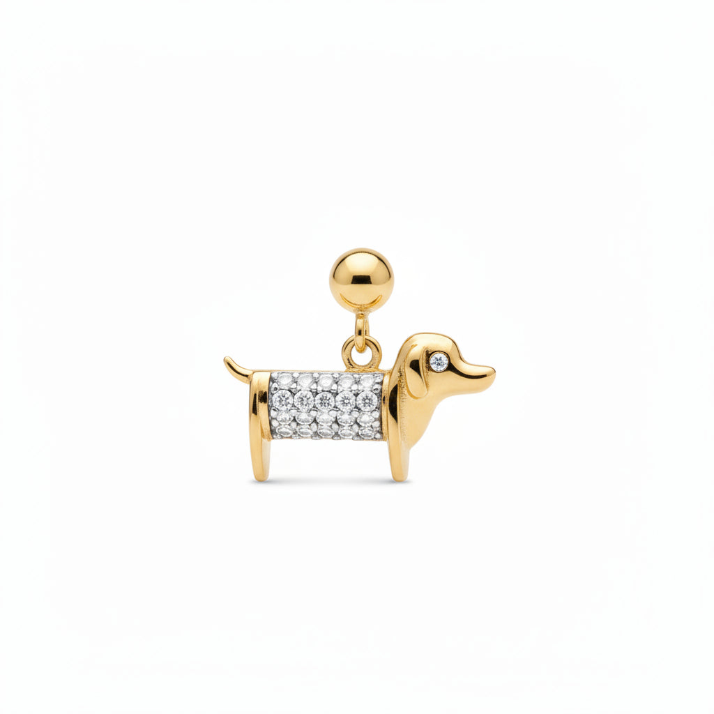Charm Perro