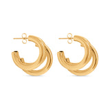 Zarcillos C Hoops Gold