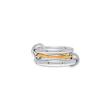Anillo Número 3